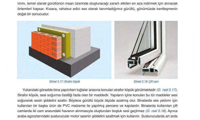 6. Sınıf Gün Yayınları Fen Bilimleri Ders Kitabı Sayfa 199 Cevapları