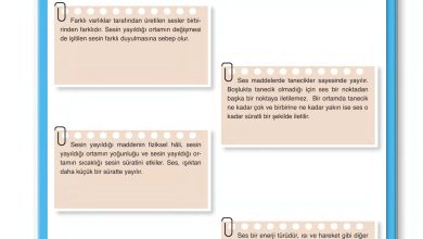 6. Sınıf Gün Yayınları Fen Bilimleri Ders Kitabı Sayfa 202 Cevapları