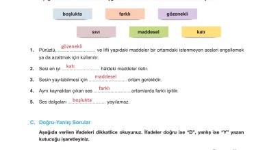 6. Sınıf Gün Yayınları Fen Bilimleri Ders Kitabı Sayfa 204 Cevapları