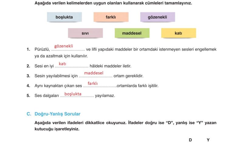 6. Sınıf Gün Yayınları Fen Bilimleri Ders Kitabı Sayfa 204 Cevapları