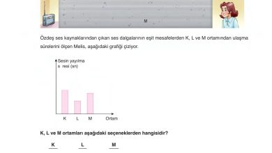 6. Sınıf Gün Yayınları Fen Bilimleri Ders Kitabı Sayfa 206 Cevapları