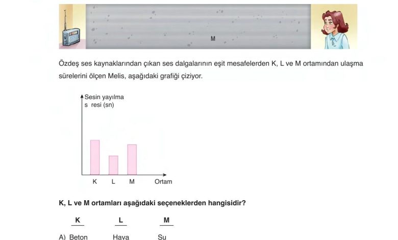 6. Sınıf Gün Yayınları Fen Bilimleri Ders Kitabı Sayfa 206 Cevapları