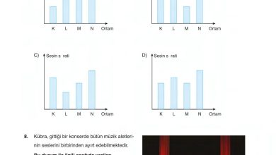 6. Sınıf Gün Yayınları Fen Bilimleri Ders Kitabı Sayfa 207 Cevapları