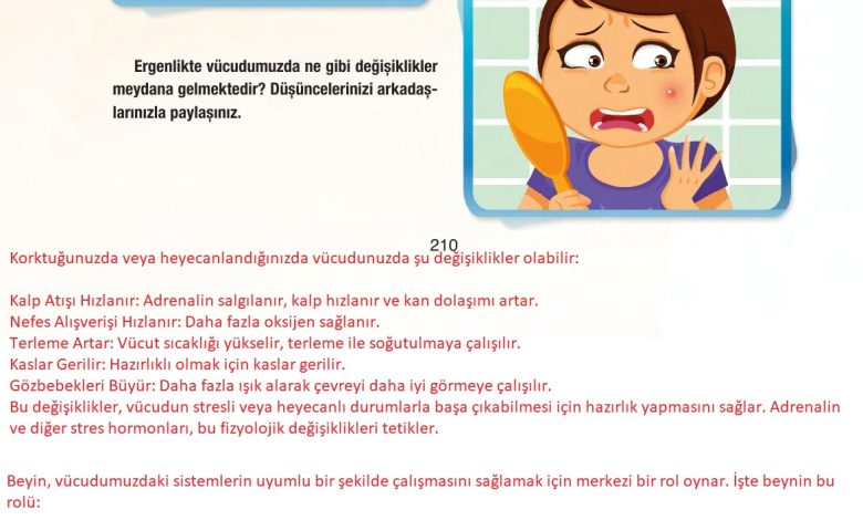 6. Sınıf Gün Yayınları Fen Bilimleri Ders Kitabı Sayfa 210 Cevapları