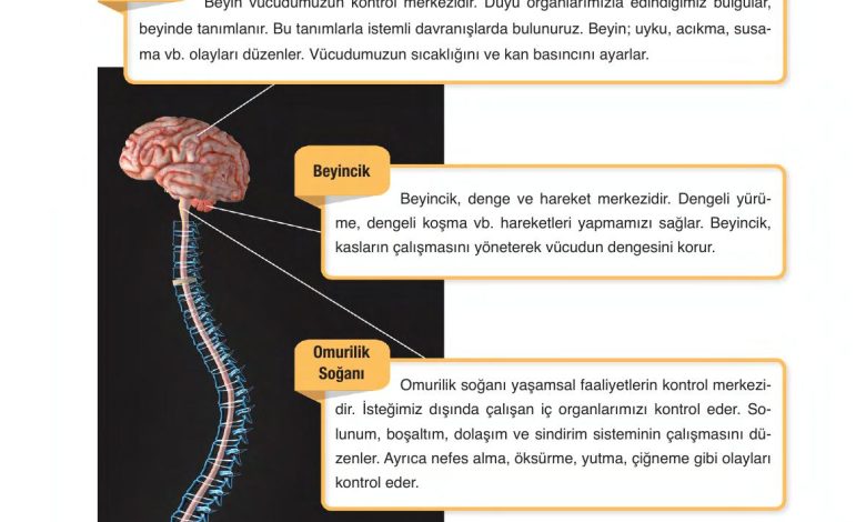 6. Sınıf Gün Yayınları Fen Bilimleri Ders Kitabı Sayfa 212 Cevapları