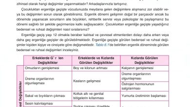 6. Sınıf Gün Yayınları Fen Bilimleri Ders Kitabı Sayfa 217 Cevapları