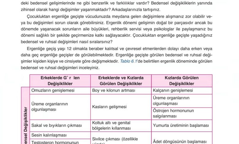 6. Sınıf Gün Yayınları Fen Bilimleri Ders Kitabı Sayfa 217 Cevapları