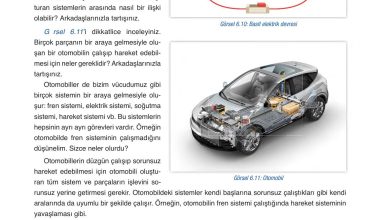 6. Sınıf Gün Yayınları Fen Bilimleri Ders Kitabı Sayfa 219 Cevapları