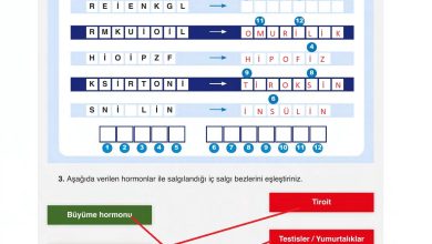 6. Sınıf Gün Yayınları Fen Bilimleri Ders Kitabı Sayfa 221 Cevapları