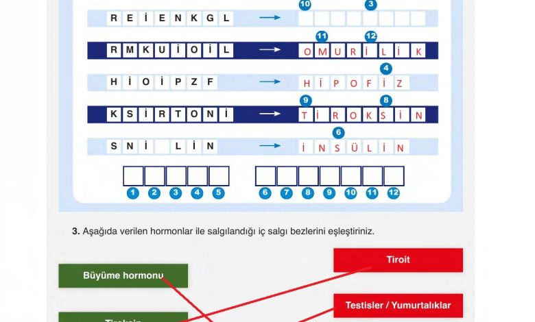 6. Sınıf Gün Yayınları Fen Bilimleri Ders Kitabı Sayfa 221 Cevapları