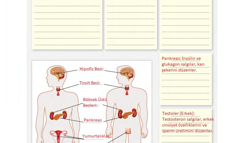 6. Sınıf Gün Yayınları Fen Bilimleri Ders Kitabı Sayfa 222 Cevapları