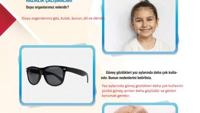 6. Sınıf Gün Yayınları Fen Bilimleri Ders Kitabı Sayfa 223 Cevapları