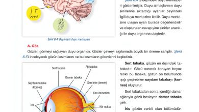 6. Sınıf Gün Yayınları Fen Bilimleri Ders Kitabı Sayfa 224 Cevapları