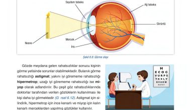 6. Sınıf Gün Yayınları Fen Bilimleri Ders Kitabı Sayfa 225 Cevapları