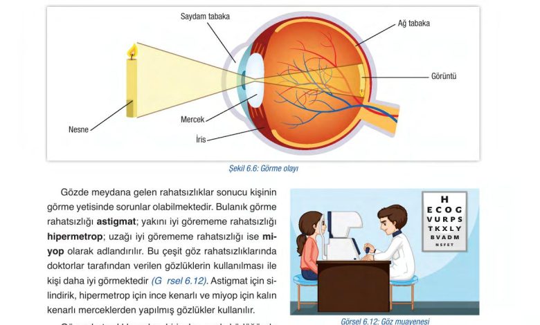 6. Sınıf Gün Yayınları Fen Bilimleri Ders Kitabı Sayfa 225 Cevapları