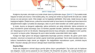 6. Sınıf Gün Yayınları Fen Bilimleri Ders Kitabı Sayfa 226 Cevapları