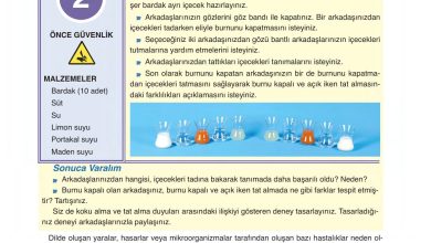 6. Sınıf Gün Yayınları Fen Bilimleri Ders Kitabı Sayfa 227 Cevapları