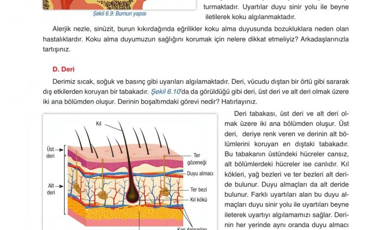 6. Sınıf Gün Yayınları Fen Bilimleri Ders Kitabı Sayfa 228 Cevapları