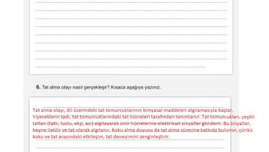 6. Sınıf Gün Yayınları Fen Bilimleri Ders Kitabı Sayfa 233 Cevapları