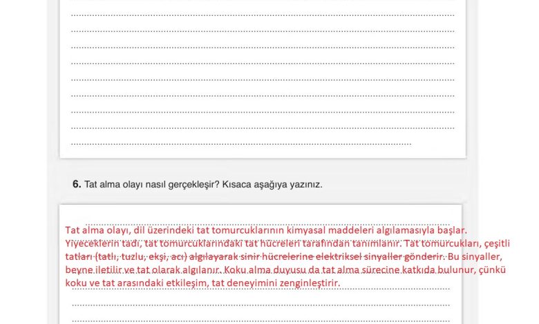 6. Sınıf Gün Yayınları Fen Bilimleri Ders Kitabı Sayfa 233 Cevapları