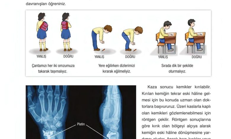 6. Sınıf Gün Yayınları Fen Bilimleri Ders Kitabı Sayfa 236 Cevapları