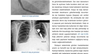 6. Sınıf Gün Yayınları Fen Bilimleri Ders Kitabı Sayfa 238 Cevapları