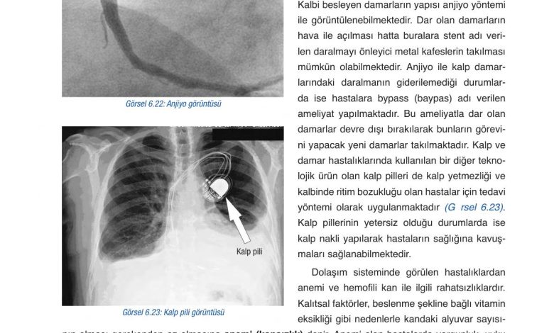 6. Sınıf Gün Yayınları Fen Bilimleri Ders Kitabı Sayfa 238 Cevapları