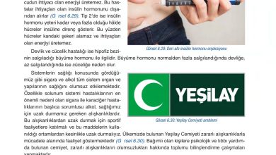 6. Sınıf Gün Yayınları Fen Bilimleri Ders Kitabı Sayfa 241 Cevapları