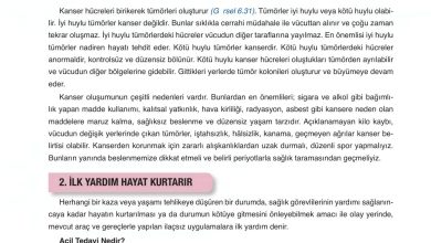 6. Sınıf Gün Yayınları Fen Bilimleri Ders Kitabı Sayfa 242 Cevapları