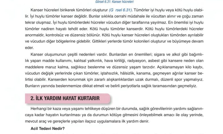 6. Sınıf Gün Yayınları Fen Bilimleri Ders Kitabı Sayfa 242 Cevapları