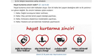 6. Sınıf Gün Yayınları Fen Bilimleri Ders Kitabı Sayfa 244 Cevapları