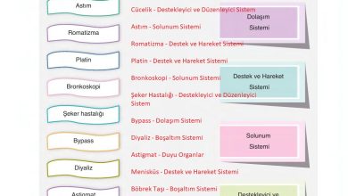 6. Sınıf Gün Yayınları Fen Bilimleri Ders Kitabı Sayfa 246 Cevapları