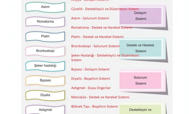 6. Sınıf Gün Yayınları Fen Bilimleri Ders Kitabı Sayfa 246 Cevapları