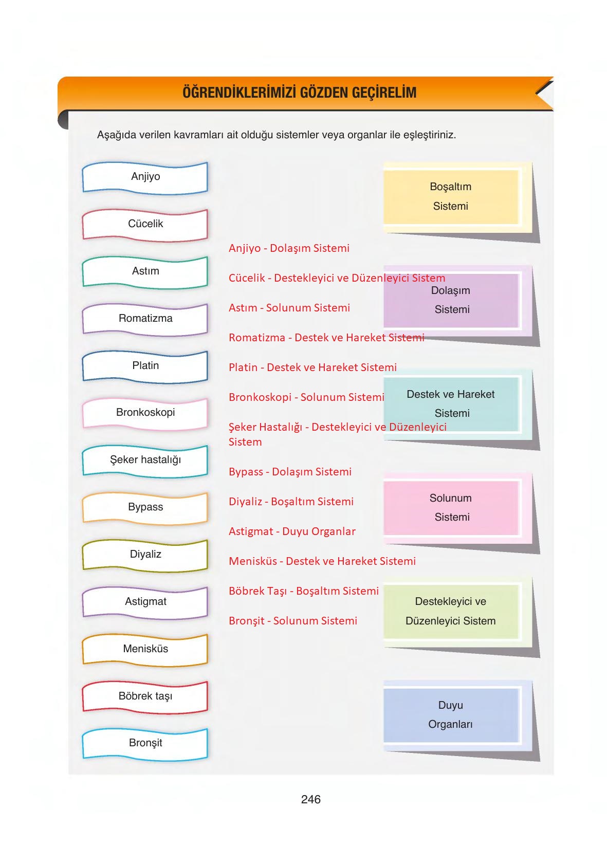 6. Sınıf Gün Yayınları Fen Bilimleri Ders Kitabı Sayfa 246 Cevapları