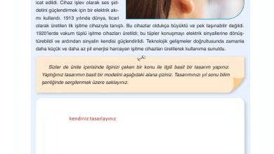 6. Sınıf Gün Yayınları Fen Bilimleri Ders Kitabı Sayfa 248 Cevapları