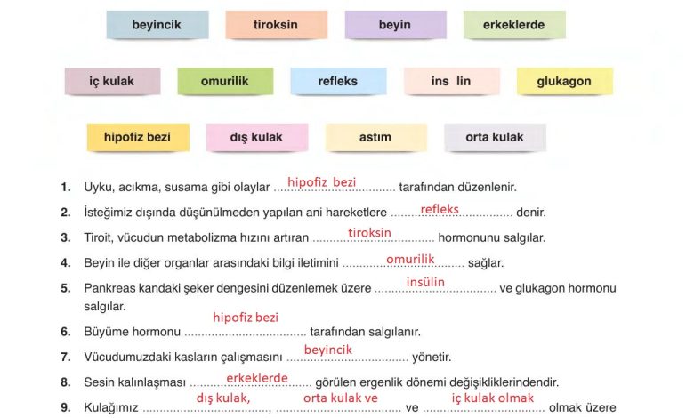 6. Sınıf Gün Yayınları Fen Bilimleri Ders Kitabı Sayfa 249 Cevapları