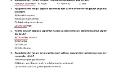 6. Sınıf Gün Yayınları Fen Bilimleri Ders Kitabı Sayfa 251 Cevapları