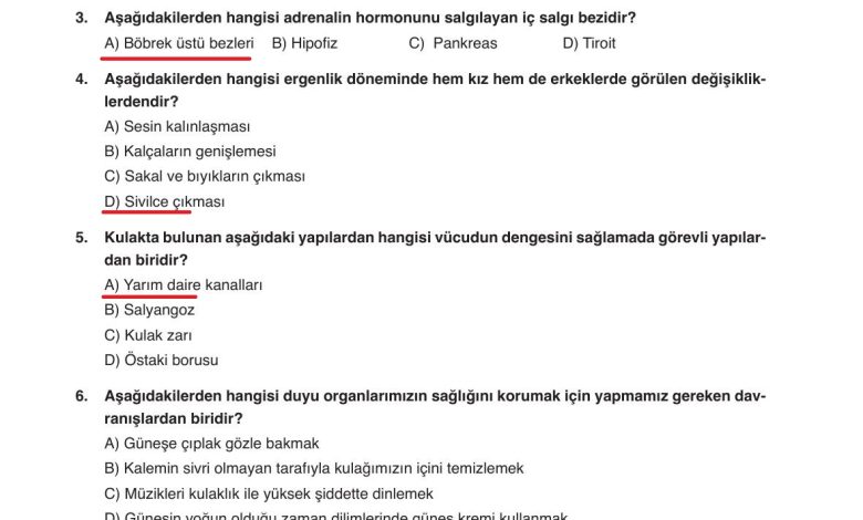 6. Sınıf Gün Yayınları Fen Bilimleri Ders Kitabı Sayfa 251 Cevapları