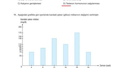 6. Sınıf Gün Yayınları Fen Bilimleri Ders Kitabı Sayfa 252 Cevapları