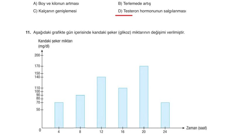 6. Sınıf Gün Yayınları Fen Bilimleri Ders Kitabı Sayfa 252 Cevapları