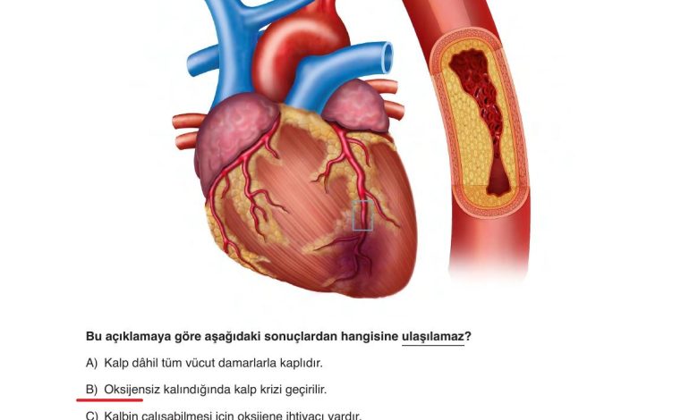 6. Sınıf Gün Yayınları Fen Bilimleri Ders Kitabı Sayfa 253 Cevapları