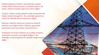 6. Sınıf Gün Yayınları Fen Bilimleri Ders Kitabı Sayfa 255 Cevapları