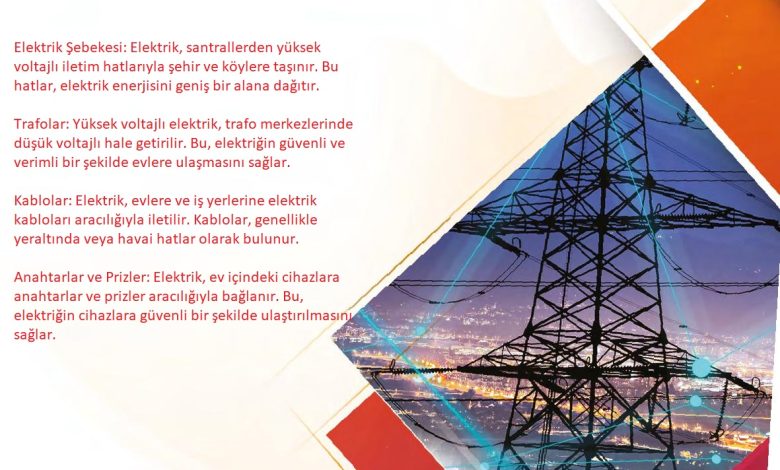 6. Sınıf Gün Yayınları Fen Bilimleri Ders Kitabı Sayfa 255 Cevapları