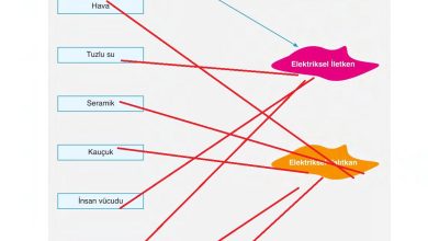 6. Sınıf Gün Yayınları Fen Bilimleri Ders Kitabı Sayfa 262 Cevapları