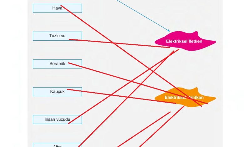 6. Sınıf Gün Yayınları Fen Bilimleri Ders Kitabı Sayfa 262 Cevapları