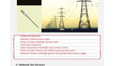 6. Sınıf Gün Yayınları Fen Bilimleri Ders Kitabı Sayfa 263 Cevapları