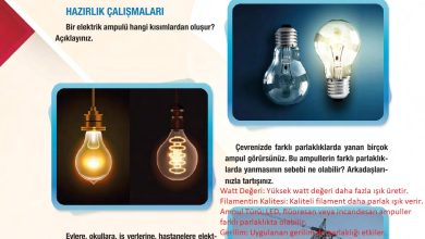 6. Sınıf Gün Yayınları Fen Bilimleri Ders Kitabı Sayfa 264 Cevapları