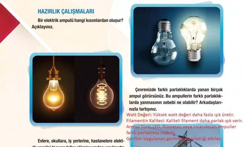 6. Sınıf Gün Yayınları Fen Bilimleri Ders Kitabı Sayfa 264 Cevapları