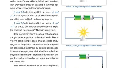 6. Sınıf Gün Yayınları Fen Bilimleri Ders Kitabı Sayfa 265 Cevapları