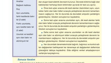 6. Sınıf Gün Yayınları Fen Bilimleri Ders Kitabı Sayfa 266 Cevapları